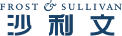 智能体开发